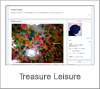 Treasure Leisure